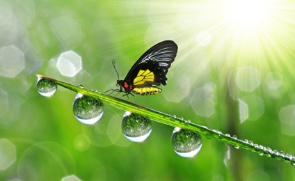  ¿Qué es el PUNTO de ROCÍO?