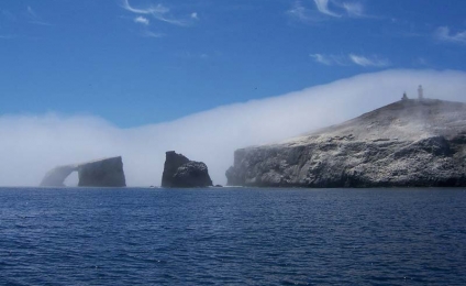 ¿ Qué es la niebla ?