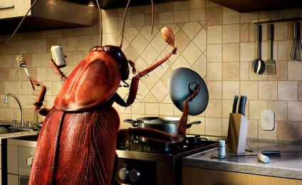 ¿Desaparecen las plagas con el frío?