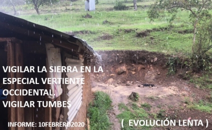 INFORME 10 FEBRERO 2020