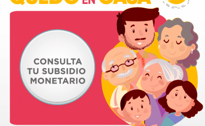 Bono consulta S/. 380