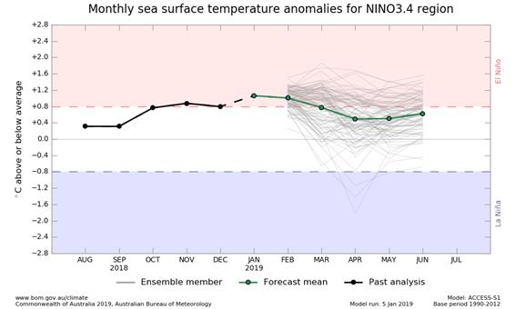 NINO3.4 SST plume graphs from ACCESS-S forecasts, updated daily