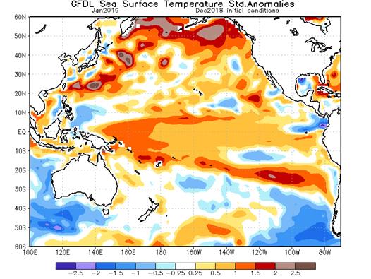 http://www.cpc.ncep.noaa.gov/products/international/nmme/plots_monthly/pacific_gfdl_sst_sdan_DecIC_Jan2019.png